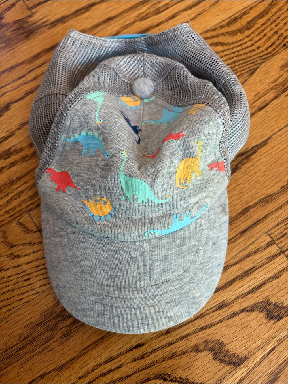 Cat & Jack Kids Dinosaur Mesh Cap